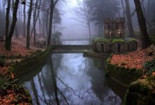 Im vergangenen Herbst. / Sintra.Portugal