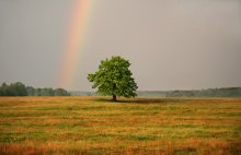 Farbige Regen / .............