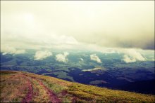 Carpathians / Carpathians, july'09