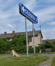 Canine Trampen / ***