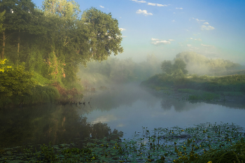 Sommermorgen. / ***