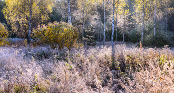 Rime / ***