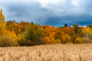 Herbstlandschaft. / ***