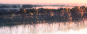 Zeit Nebel / ***