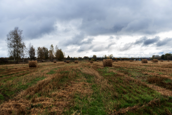 Oktober / ***