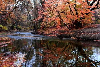 November / ***