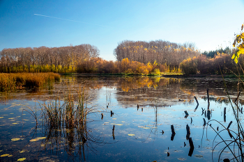 Herbstbild / ***