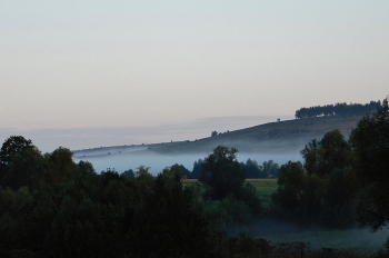 Nebliger Morgen / ***