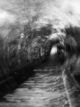Leben rund um / ***