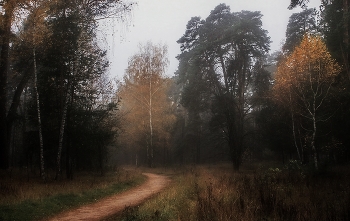 Anfang Oktober / ***