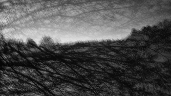 Leben rund um / ***