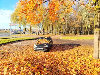 Autumn Still Life / ***
