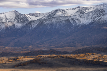 Altai / ***