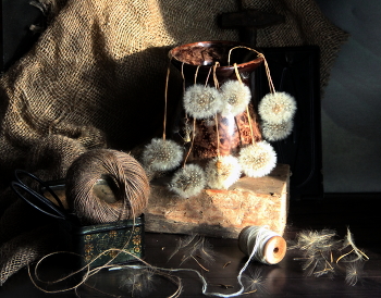 Still Life / ***