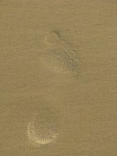 Spuren im Sand / ***
