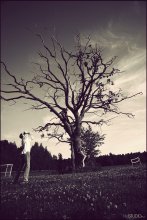 Amber BREEZE 2009 Lettland / ***