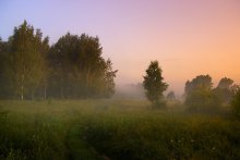 Landschaft Mittelstreifen / ***