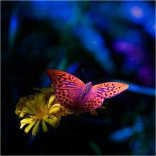 Butterfly Effect 2 / ***