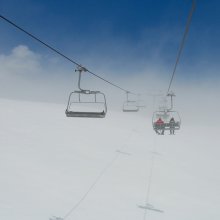 Top / ***
