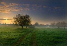 Mai Morgen / ***