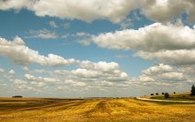 Sommer-Bereich / *****