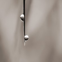 Minimalismus / ***