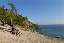 Gestelzt im Sand / ***