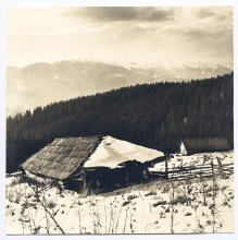 aus der Serie "Lost kleine Welt" / ***