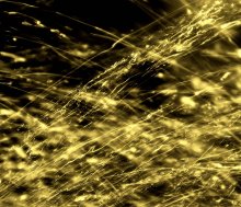 golden streams / ***