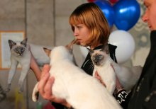 Feline Druck / ***