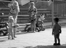 Liebe auf den ersten Blick / ***