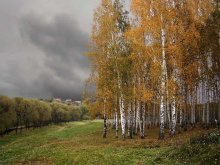 Herbst / ***