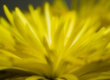 gentleness / nothing