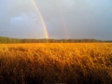 Regenbogen / ---------