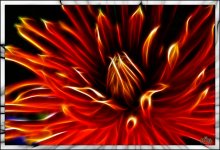 Fire Flower / ***
