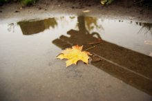 Herbst mit Traurigkeit / ***