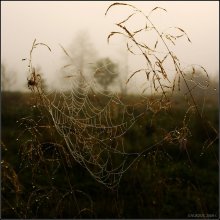 Invisible Juwelier / ***