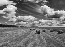 Sommerhitze / ***