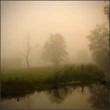 den Fluss / ---------