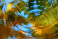 Autumn Leaves / ***