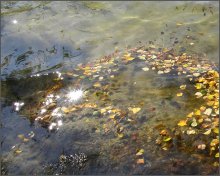 Herbst Badekleidung fallen ... / .....