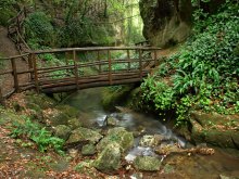 Im Wald / ***