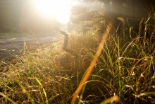 Spiel von Licht / ......