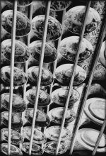 Abstraction #2 / efwvwvaervaerv