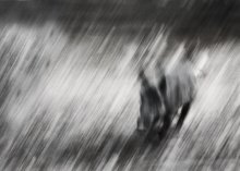 Jagd / ............