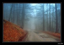 Bergstraße / __________________