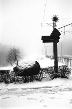 Weg / ***