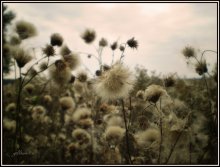 Light flauschig .... / ..............