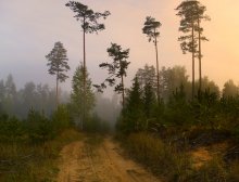 Morgens im September / ***