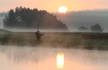 Fisch vor / ***